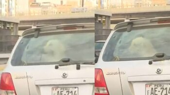 Accidente de carreta con caballos