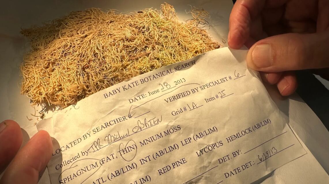 La ciencia forense incorpora a los musgos en la investigación criminal, valorando su capacidad para aportar datos sobre escenarios y momentos clave de los delitos (Field Museum)