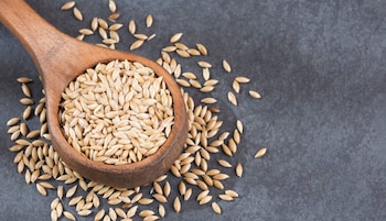 El alpiste a comenzado a