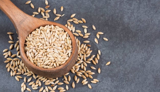 El alpiste, conocido históricamente como alimento para aves, ha comenzado a incorporarse en la nutrición humana en forma de agua o bebida vegetal