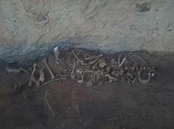 Diversos restos óseos y fragmentos de huesos yacen dispersos en la tierra al pie de una pared rocosa