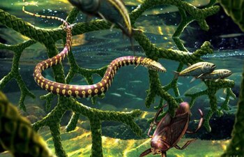 18-11-2021 En los bajíos cercanos