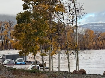 Camionetas y un remolque parcialmente cubiertos por agua marrón junto a árboles con hojas amarillas y montañas al fondo