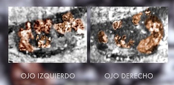 ojos de la Virgen de Guadalupe