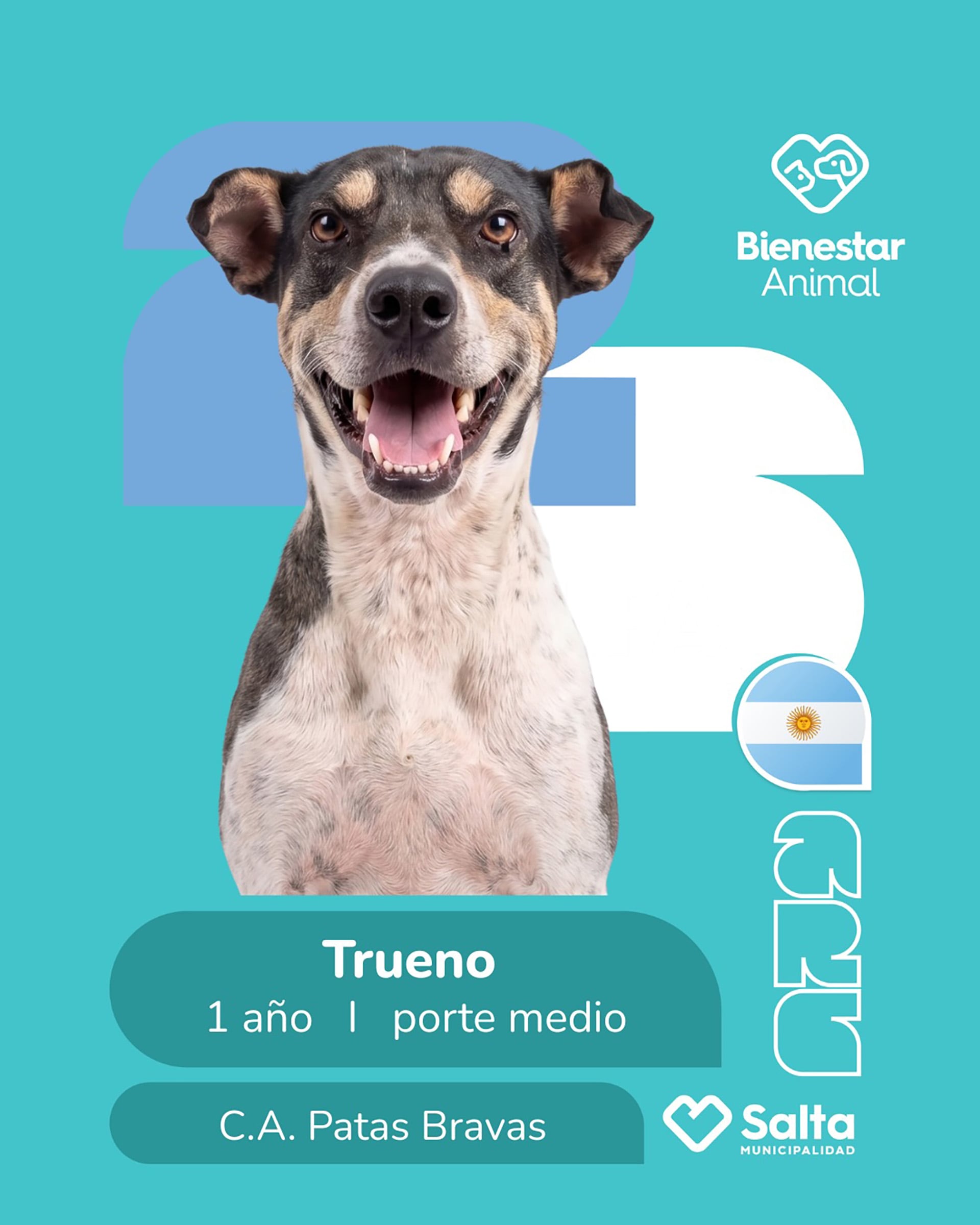 La iniciativa está inspirada en los álbumes del Mundial.