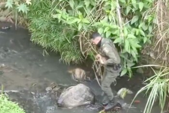 Miembros de la Policía de