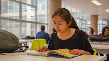 Becas a Japón 2026: universitarios