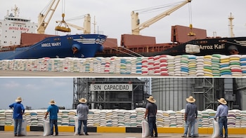 Arroz Kali Venezuela