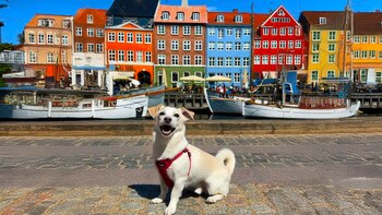 En 2022, William Atek recibió