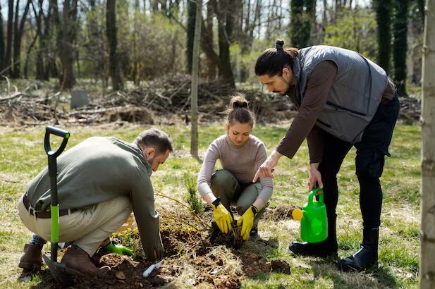 Restricciones de uso del suelo y factores ambientales reducen considerablemente la capacidad real de los bosques para absorber carbono (Freepik)