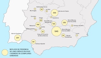 Mapa del lince ibérico (Ministerio