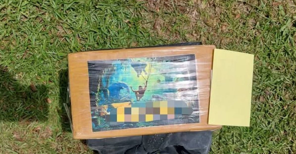 La cocaína incautada llevaba distintivos de Tarzán, señalando los códigos internos de las redes transnacionales de drogas./(Policías de Costa Rica)