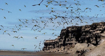 Caleta de los Loros, en
