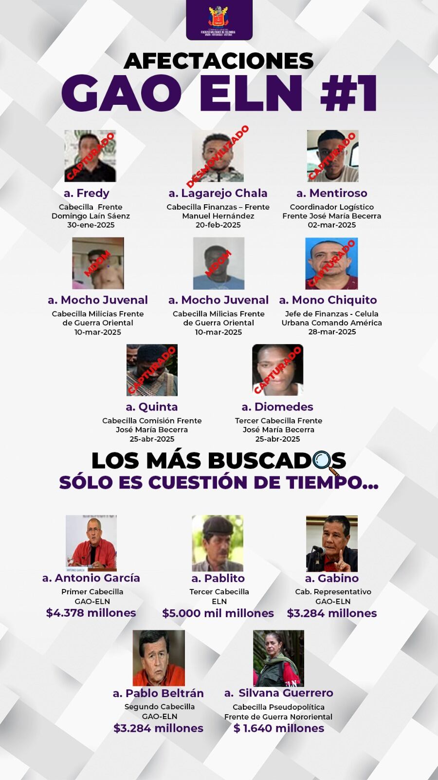 Fuerzas Militares de Colombia, Seguridad, Francisco Hernando Cubides Granados, Ejército Nacional, Colombia, Grupos armados, Derechos Humanos, Armada de Colombia, Fuerza Aeroespacial Colombiana