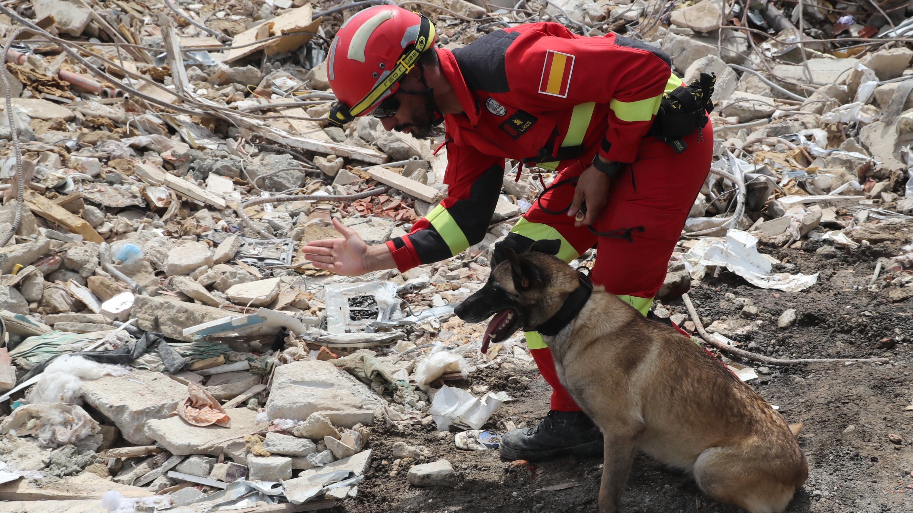 ¿Es necesario guardar comida para perros en la mochila de emergencia para facilitar el rescate tras un terremoto?: Personal del SAMU desmiente mito viral
