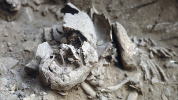 El hallazgo de ‘Amud 7′, un bebé neandertal de hace más de 55.000 años, revela un hito genético: los niños del Paleolítico crecían más rápido que nosotros