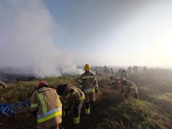 Arequipa incendio forestal en el
