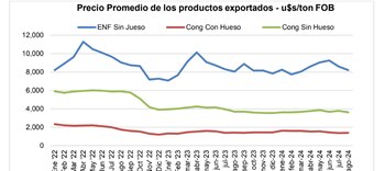 El precio promedio de exportación de carne bovina refrigerada y congelada fue, en agosto de este año, un 5,9% inferior al obtenido en julio último, y un 1,5% más bajo que el precio medio de agosto de 2023 (Consorcio ABC)