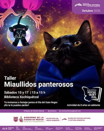 La Biblioteca Xochiquétzal sirve como sede de las actividades relacionadas con el Día del Gato Negro. (Instagram/ @mhnca)