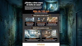 Infografía de Infobae explica el moho, su crecimiento, lugares comunes de aparición en el hogar y superficies afectadas con ilustraciones de baño, cocina y sótano.