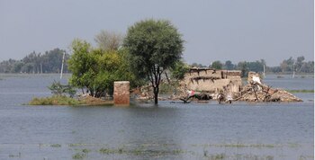 Una vista general de una casa dañada, luego de las lluvias e inundaciones durante la temporada del monzón en Gari Yasin, Shikarpur, Pakistán, 31 de agosto de 2022. REUTERS/Akhtar Soomro