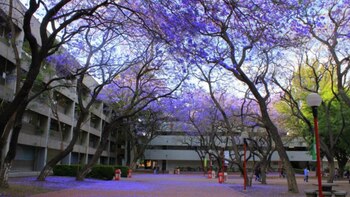 Sentenciaron a nueve años a