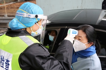 Aylward destacó la gestión de