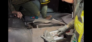 La droga estaba distribuida en