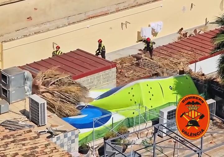 Los operarios abatieron una palmera de 20 metros para salvar a un trabajador. Bomberos Valencia