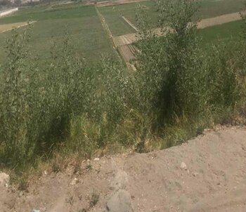 Así luce el terreno en