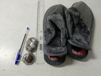 Dos bellotas de hachís tras