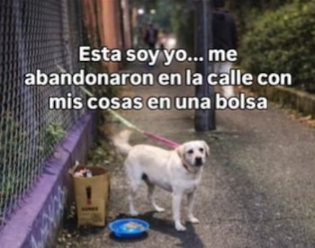 La perrita fue encontrada amarrada