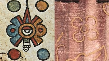 El significado de la flor