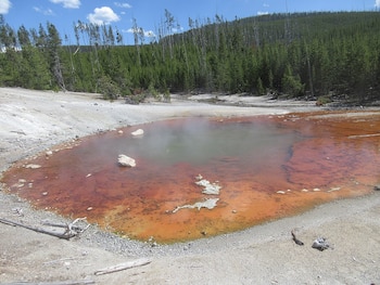 Echinus Geyser, reconocido como el
