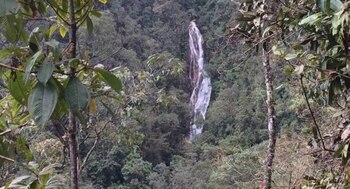 Joven murió al caer por