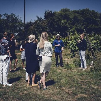 En los tours que organizan