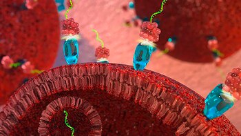Una estrategia en desarrollo ataca