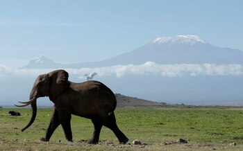 Durante siete días impulsó su cuerpo con sus manos, enfrentando el frío extremo, la fatiga y el dolor. Pero nunca dudó en seguir adelante (Reuters)