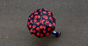 La velocidad de desplazamiento de