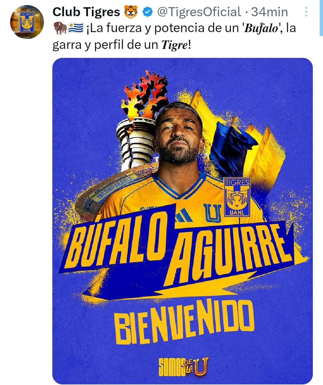 El Club Tigres le dio la bienvenida a Aguirre, poniendo su esperanza en él. Foto: (Captura de pantalla)