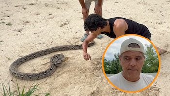 Una pitón muerde hasta cinco veces a Zape, el hijo de Frank Cuesta, durante una de las lecciones de su padre: “Si te estás quieto no te hace nada”