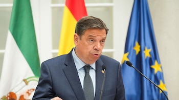 El Gobierno anuncia la candidatura