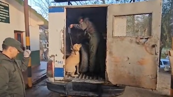 Los efectivos controlaron el rodado