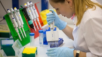 Peste neumónica en Siberia: qué es, cómo se contagia y por qué los científicos la estudian en laboratorio
