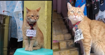 Desde pequeño, a Toby le