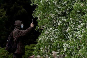 Un hombre saca fotos a