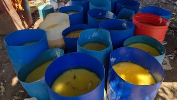 Decomisaron casi 17 toneladas de metanfetamina en Sinaloa equivalente a USD 347 millones de dólares