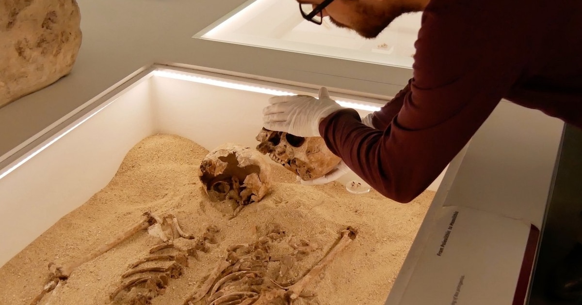 Más de 12 mil años bajo tierra: científicos descubren la enfermedad genética más antigua registrada en los humanos - Infobae