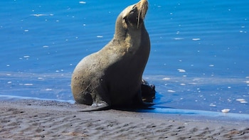 El Salvador conmueve al mundo: