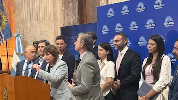 El Senado se prepara para una semana con mucha actividad y los aliados miran a los libertarios por Ficha Limpia